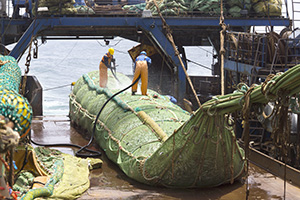 Fish Processing Boat Injuries